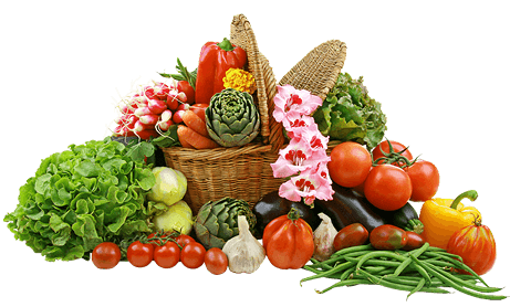 Basket of Vegetables