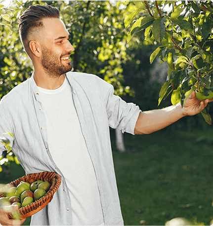Farmer picking fruits